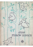 Atlas ptaków leśnych