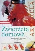 Malujemy akwarelą Zwierzęta domowe