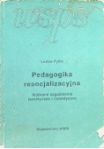 Pedagogika resocjalizacyjna