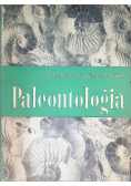 Paleontologia