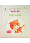 Zwierzątka mojego malucha - Historia kotka