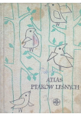 Atlas ptaków leśnych