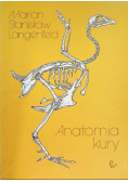 Anatomia kury