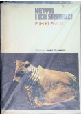Hetyci i ich sąsiedzi