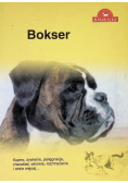 Pies na medal. Bokser