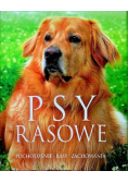 Psy rasowe