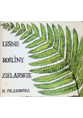 Leśne rośliny zielarskie