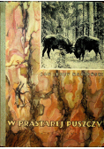 W prastarej puszczy