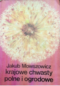 Krajowe chwasty polne i grodowe