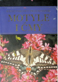 Motyle i ćmy
