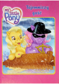 My Little Pony Tajemniczy gość