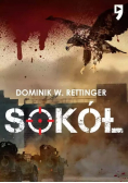 Sokół