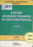 System ochrony prawnej Unii Europejskiej