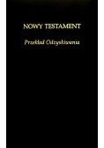 Nowy Testament Przekład odzyskiwania