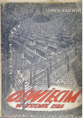 Oświęcim w systemie RSHA 1946 r.