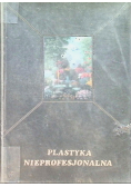 Plastyka nieprofesjonalna