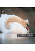 Łabędź niemy