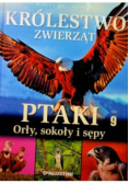 Krolestwo zwierzat Tom 9 Ptaki orły sokoły i sępy