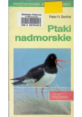 Ptaki nadmorskie