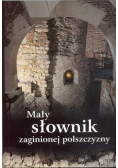 Mały słownik zaginionej polszczyzny