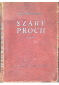 Szary proch