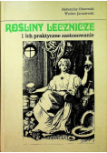 Rośliny lecznicze i ich praktyczne zastosowanie