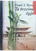 Ta trzcina żyje