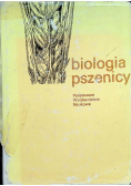 Biologia pszenicy