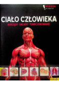 Ciało człowieka Wiedza w pigułce