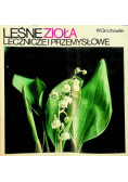 Leśne zioła lecznicze i przemysłowe