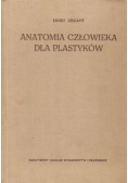 Anatomia człowieka dla  plastyków