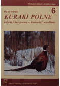 Kuraki polne bażant i kuropatwa
