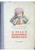 Pyza na polskich dróżkach Część I