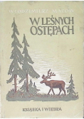 W leśnych ostępach