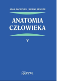 Anatomia człowieka Tom 5