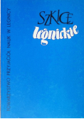 Szkice legnickie