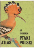 Atlas ptaki Polski