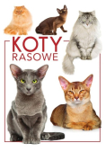 Koty rasowe