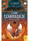 Miasto tajemnic Leśni czarodzieje Tom 2