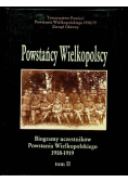 Powstańcy Wielkopolscy Tom 2