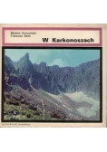 In the Karkonosze Mountains