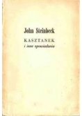 Kasztanek