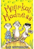 Meerkat Madness