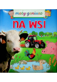 Na wsi