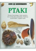Ptaki