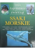 Ssaki morskie