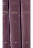 Summa Theologiae Moralis Tom 1 do 3