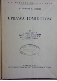 Uprawa pomidorów