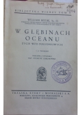 W głebinach oceanu