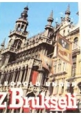 Z Brukseli